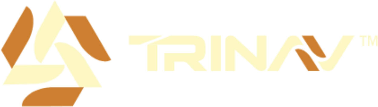 Trinav Global Logo
